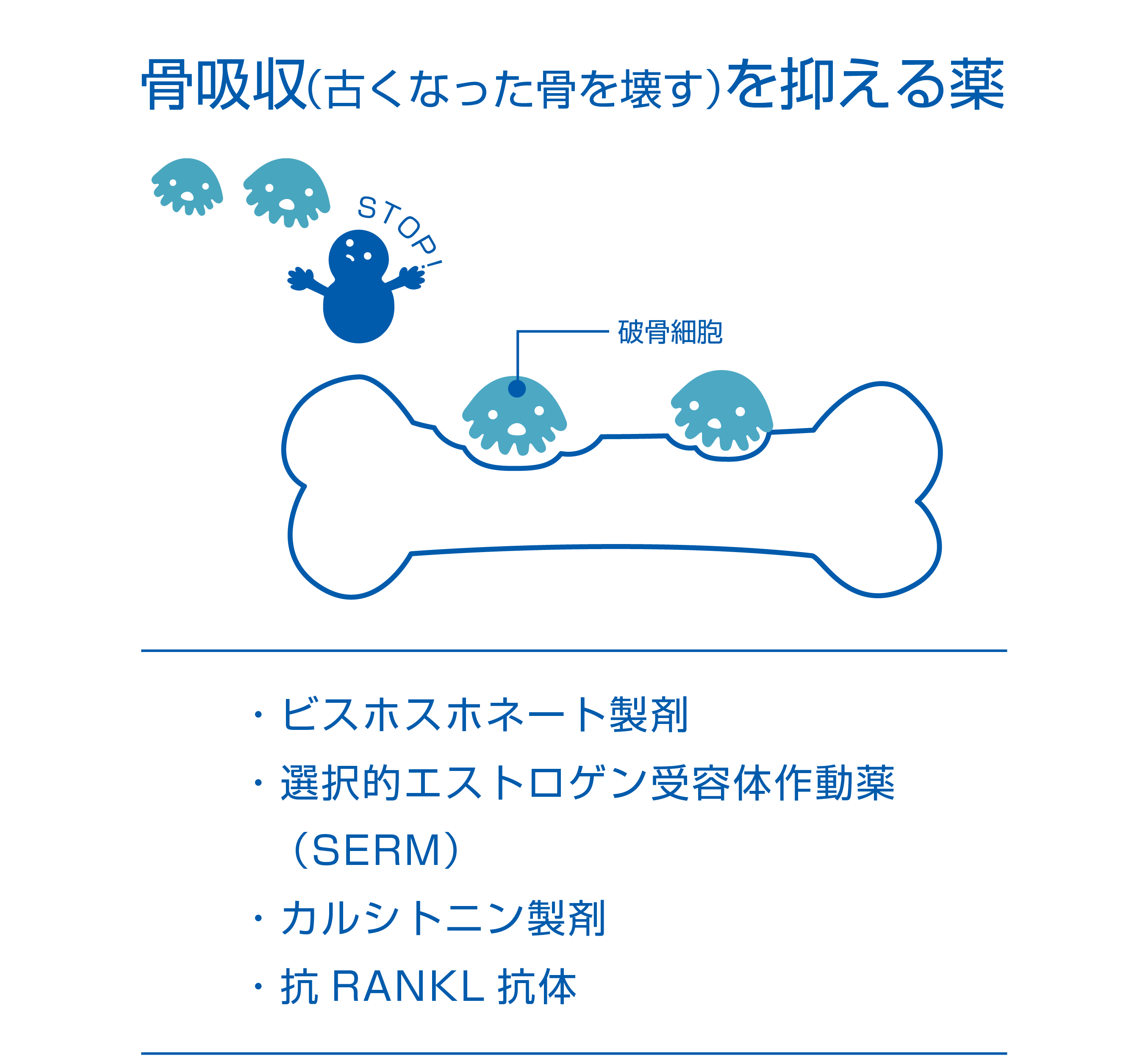 骨吸収を抑える薬のイメージ画像